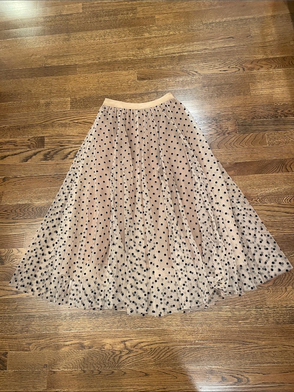 Chicwish Beige Tulle A-Line Midi Skirt with Black Polka Dots